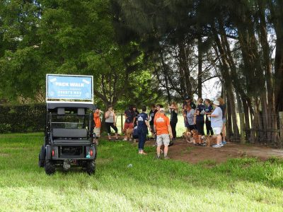 Cesar Milan taking the pet owners on a "pack walk"