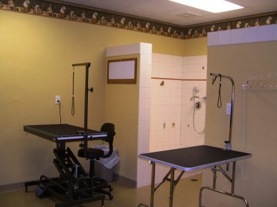 The pet grooming room