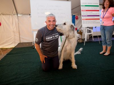Cesar giving a demo and sitting down next to a giant white dog while his owner looks on
