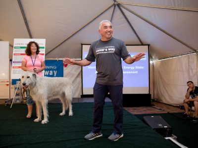 Cesar Milan giving a lecture about dogs with pet owner and her large white dog helping to demonstrate
