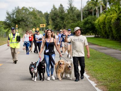 Cesar Milan taking a walk with pet owners and their dogs and showing them how to walk their dogs properly