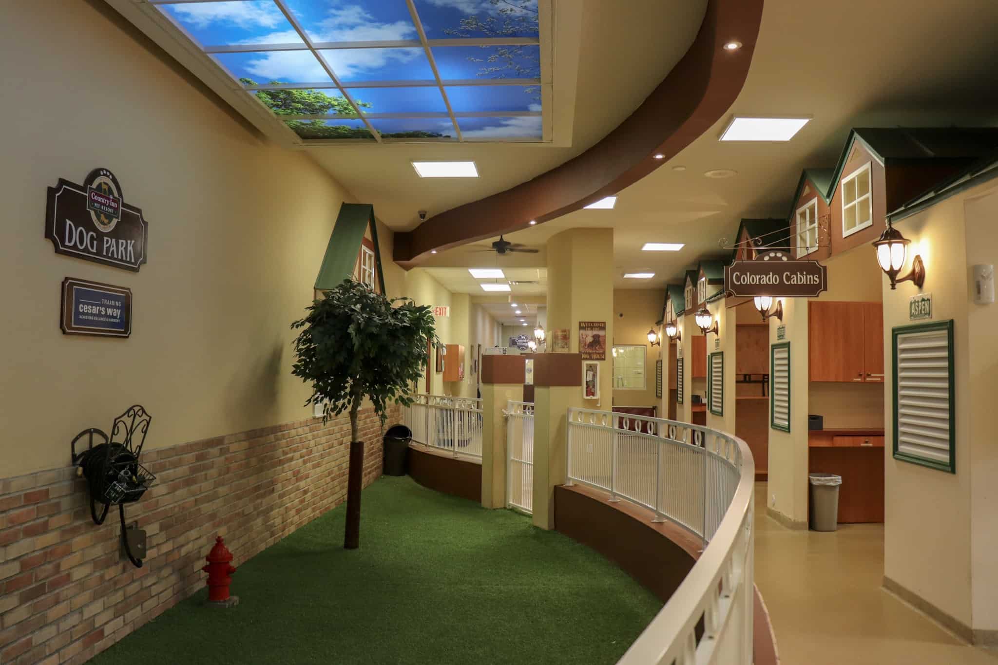 Indoor boarding hallway with a Dog Park sign, Cesar's Way training sign, and themed suites like Colorado Cabins, part of pet boarding serving the Fort Lauderdale community