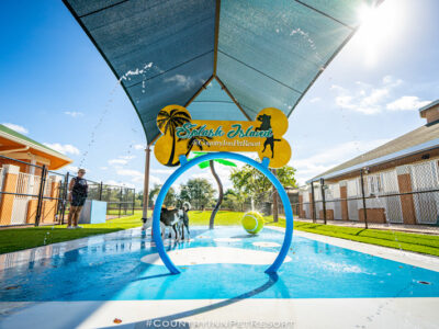 Splash Island