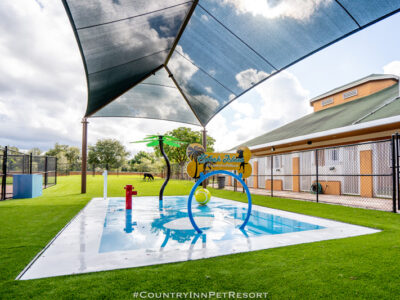 Splash Island