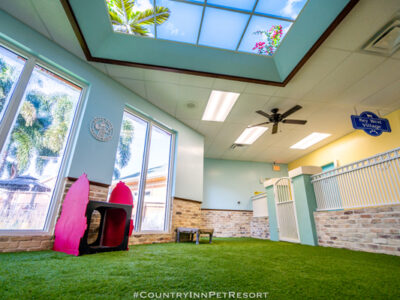 Indoor-Park-2-22022