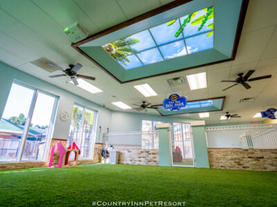 Indoor-Park-2022