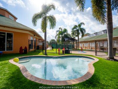 Oasis-Pool-2-2022