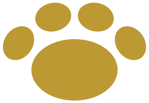 Animal Hospital Fort Lauderdale, FL - AAHA