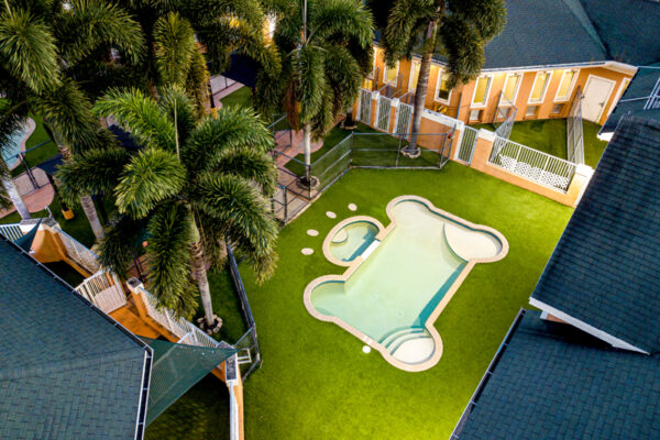Bonepool