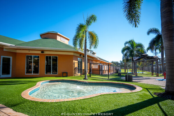 OasisPool