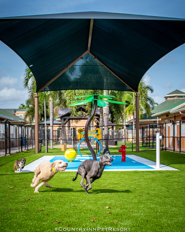 Splashpad